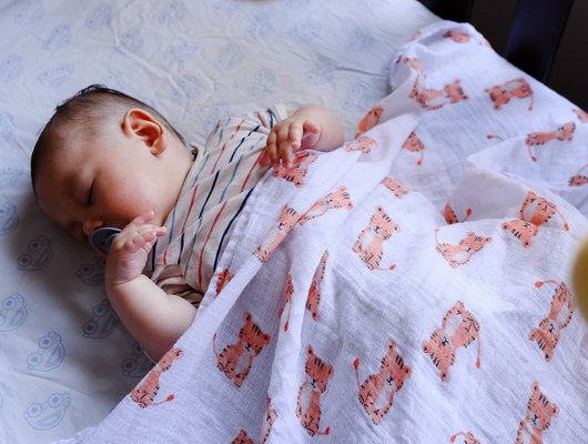 1000_Days_-_Sleeping and Settling Update '25