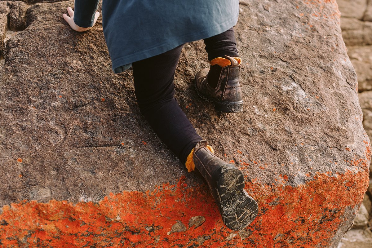 2023 Emily Brophy - Inset 1