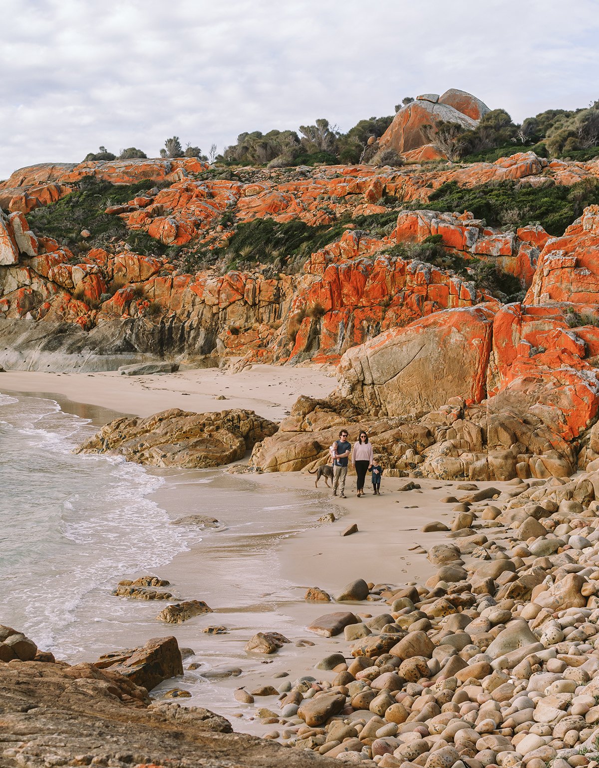 2023 Emily Brophy - Inset 2